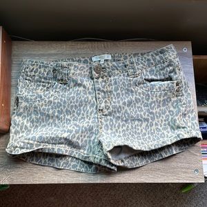 Leopard Print Shorts